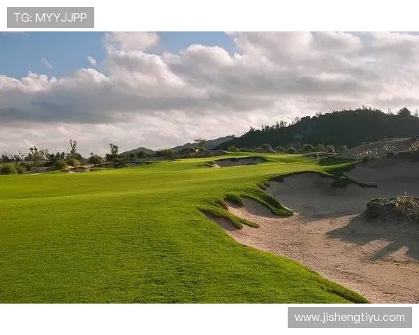 半岛体育官网推出多项特色栏目，满足不同体育爱好者的多样化需求