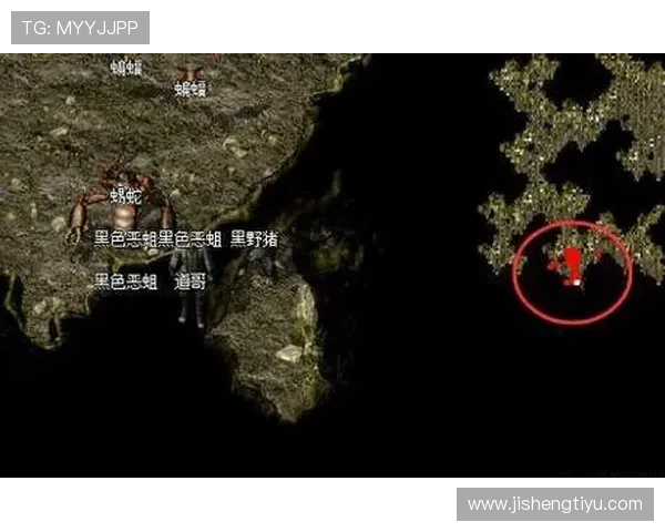 神殿入口的秘密通道探索与开启方法详解