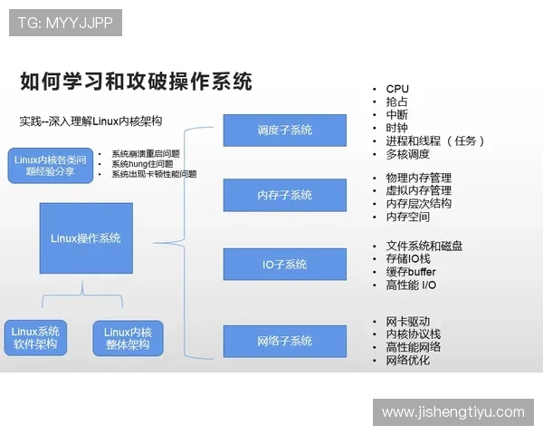 深入了解波球体育平台的特色功能与用户体验提升攻略